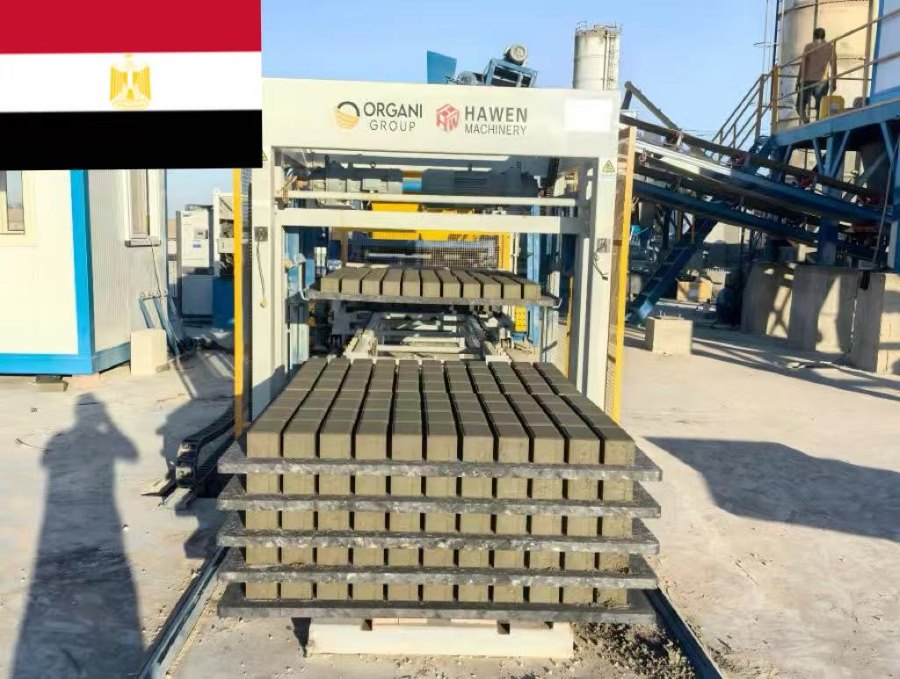 Double QT12 Automatic block making plant successful running in Egypt