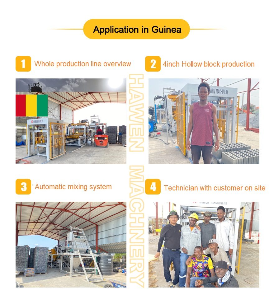 Application in Guinea_副本.jpg