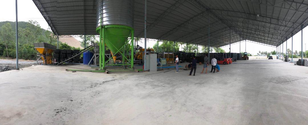 Overview of whole plant(1).jpg